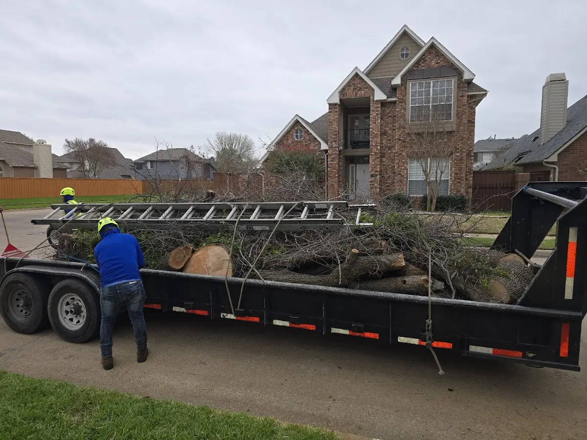 Expert Tree Fertilization with proper safety equipment in Barrytown